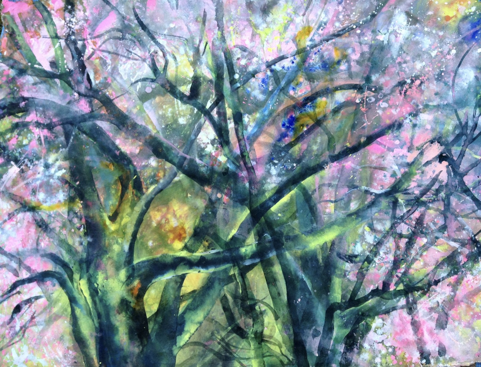 2019-4-能登の桜-acrylic
