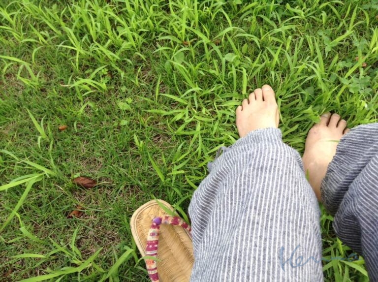 空白の部分 ヒューマンデザイン②