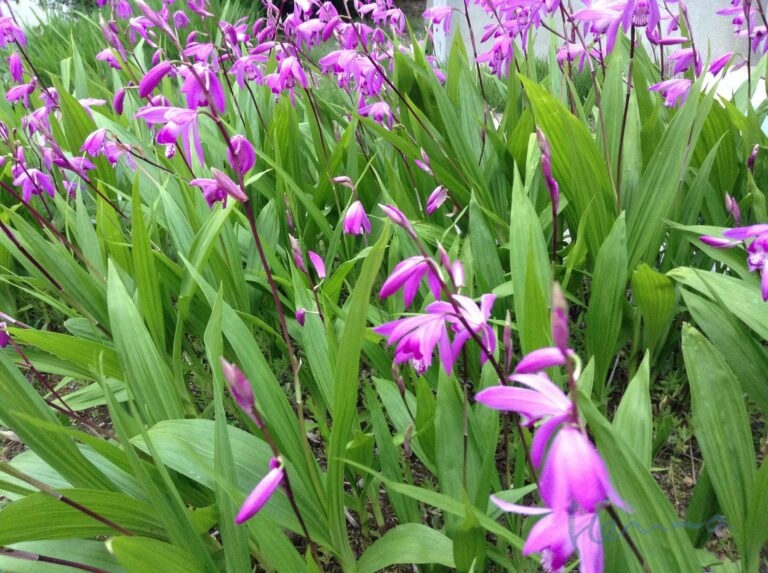 受け入れないものは、変えることができない