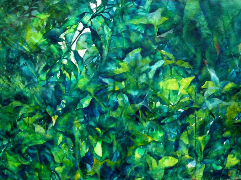 インドのみどり