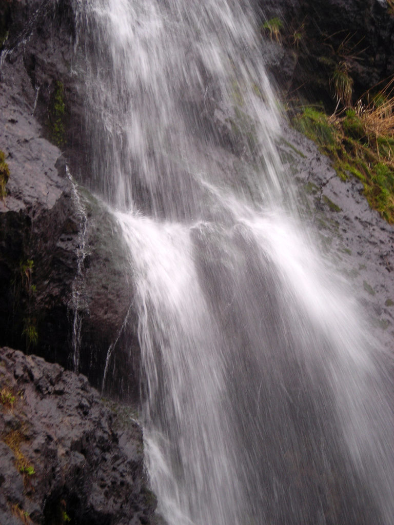 何度めかの断捨離