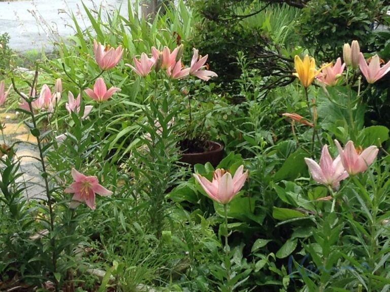 私は何担当？　　②