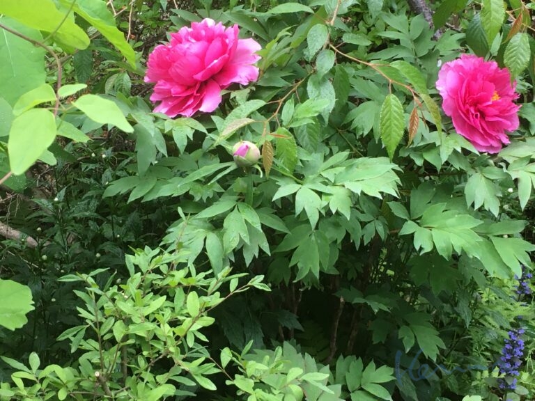 それぞれを喜ばす