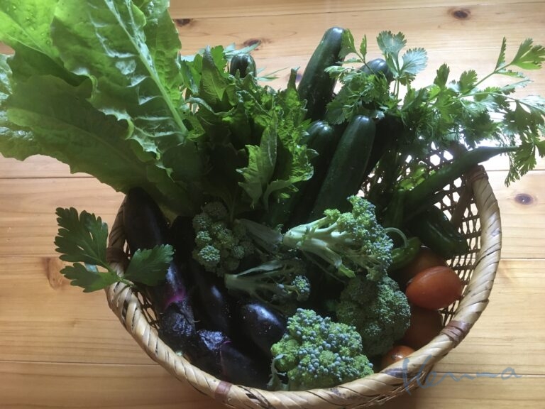 濃い7月が過ぎて