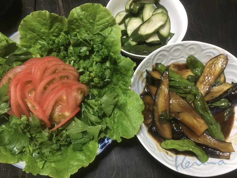 食養生 食の見なおし