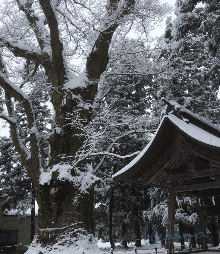 ご先祖さまありがとう　2021年12月