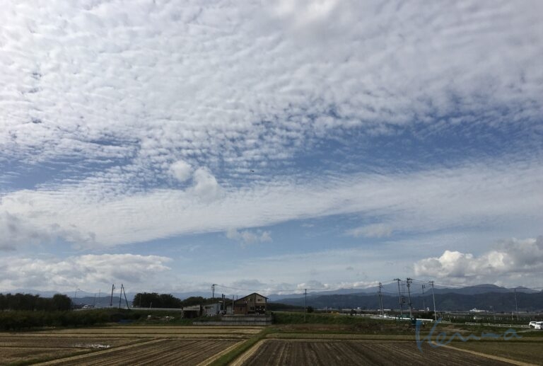 垂直の次元と見えないものとの縁
