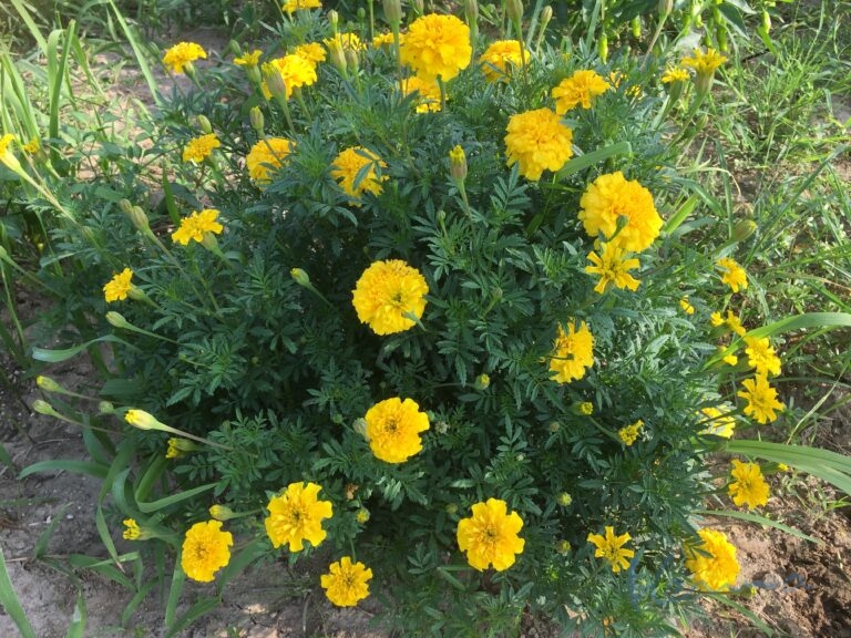 遠回りと思っていたことが近道だった？